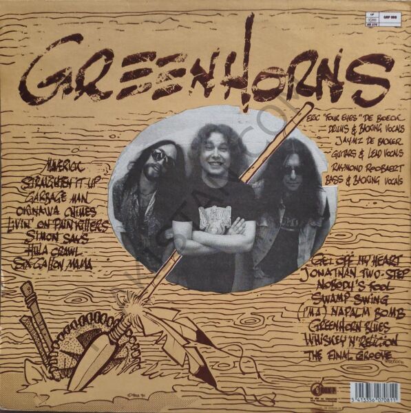 The Greenhorns – Maverick LP PLAK