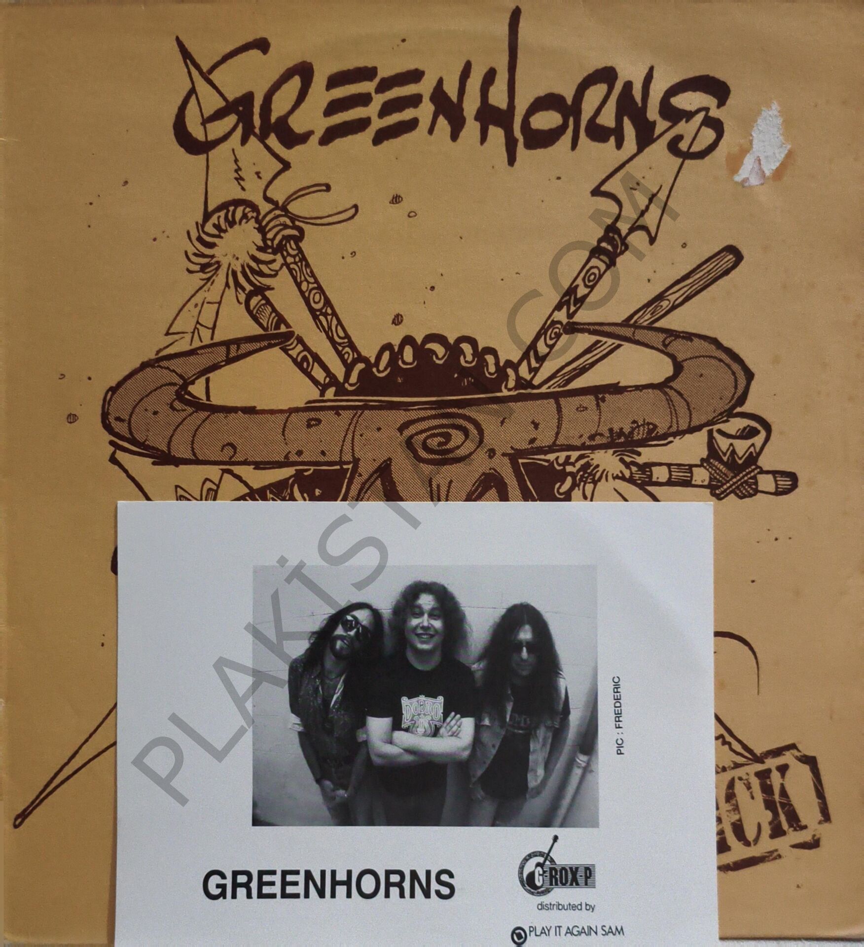The Greenhorns – Maverick LP PLAK