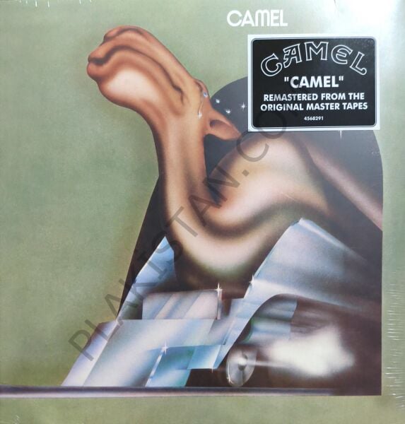 Camel & LP PLAK