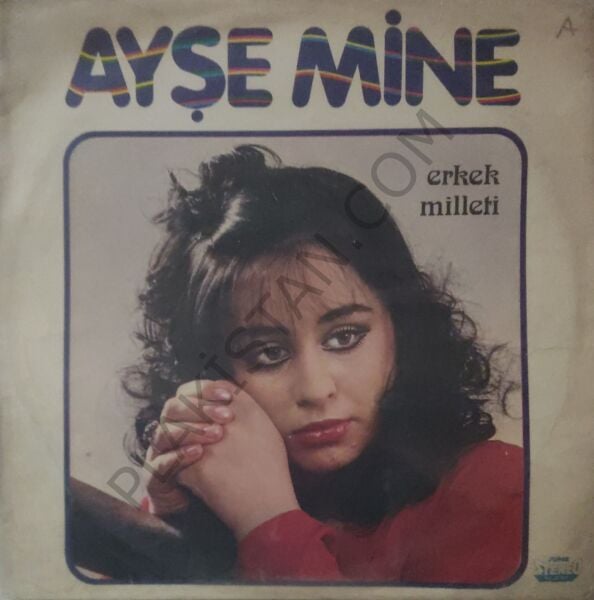 Ayşe Mine - Erkek Milleti LP