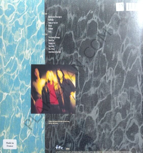 Nirvana &  Nevermind LP PLAK
