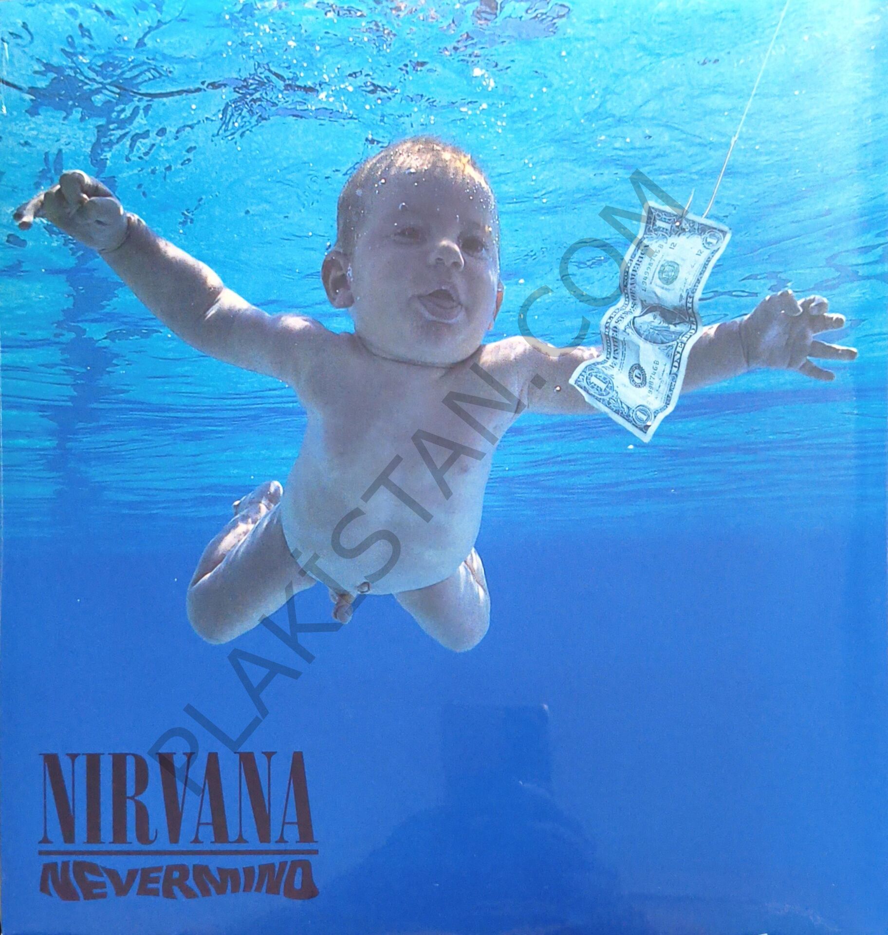 Nirvana &  Nevermind LP PLAK