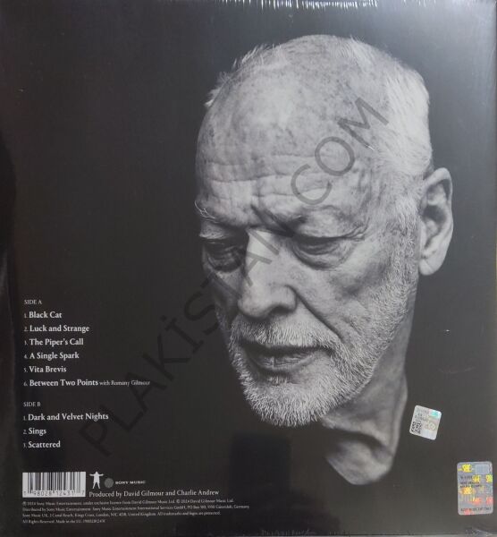David Gilmour – Luck And Strange LP PLAK