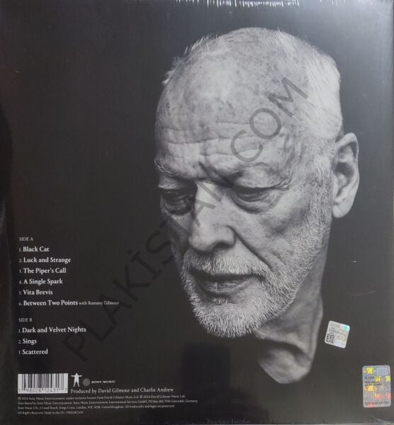David Gilmour – Luck And Strange LP PLAK