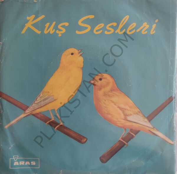 Kuş Sesleri Kanarya 45lik