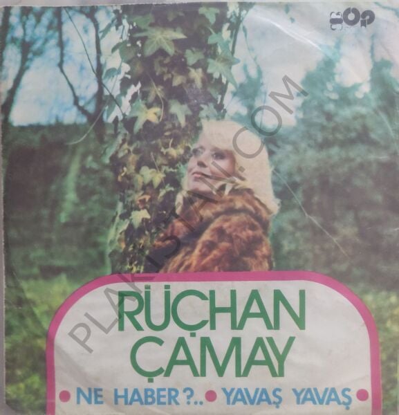 Rüçhan Çamay Ne Haber 45lik