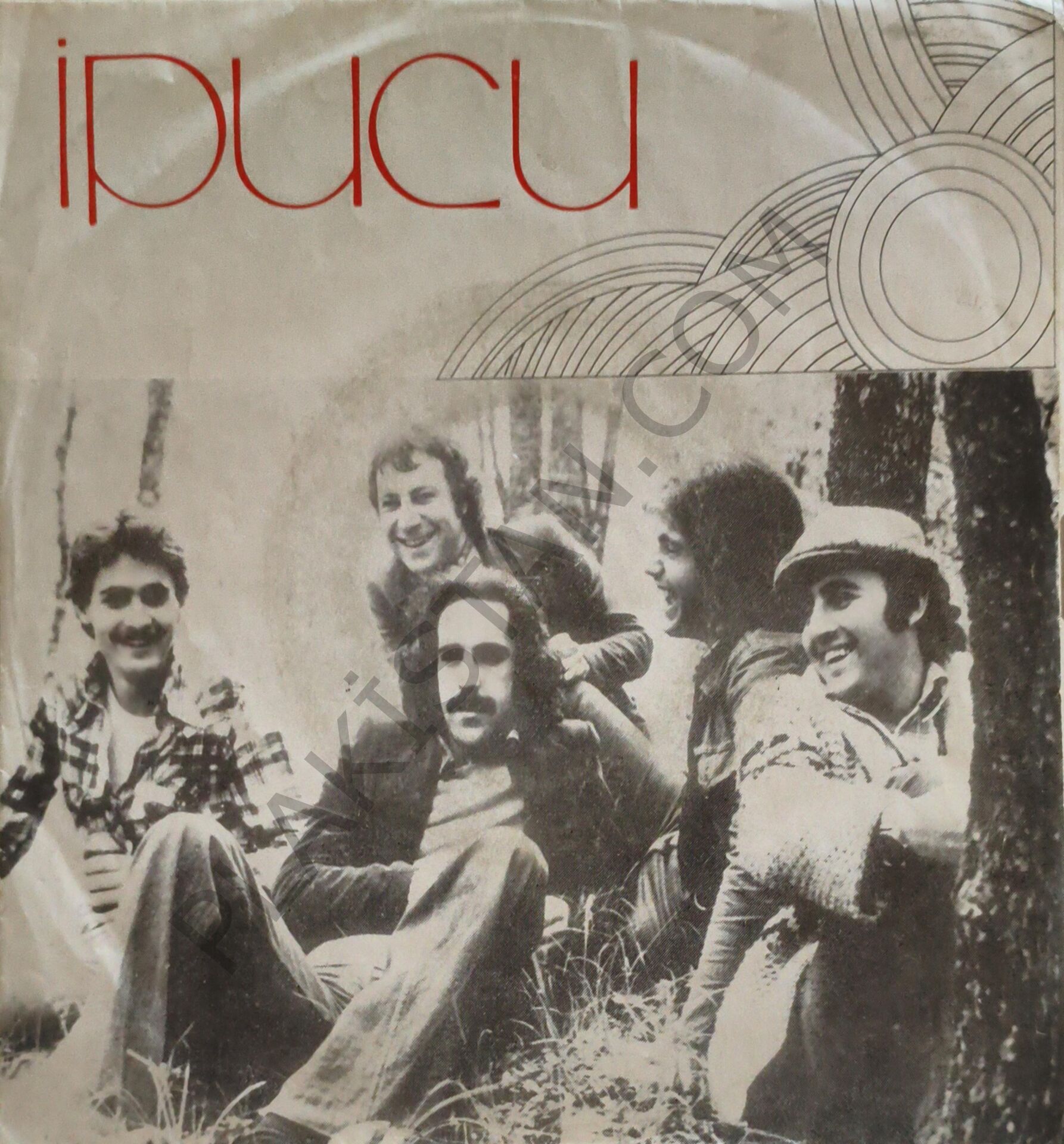 İpucu & Heyecanlı 45 LİK PLAK