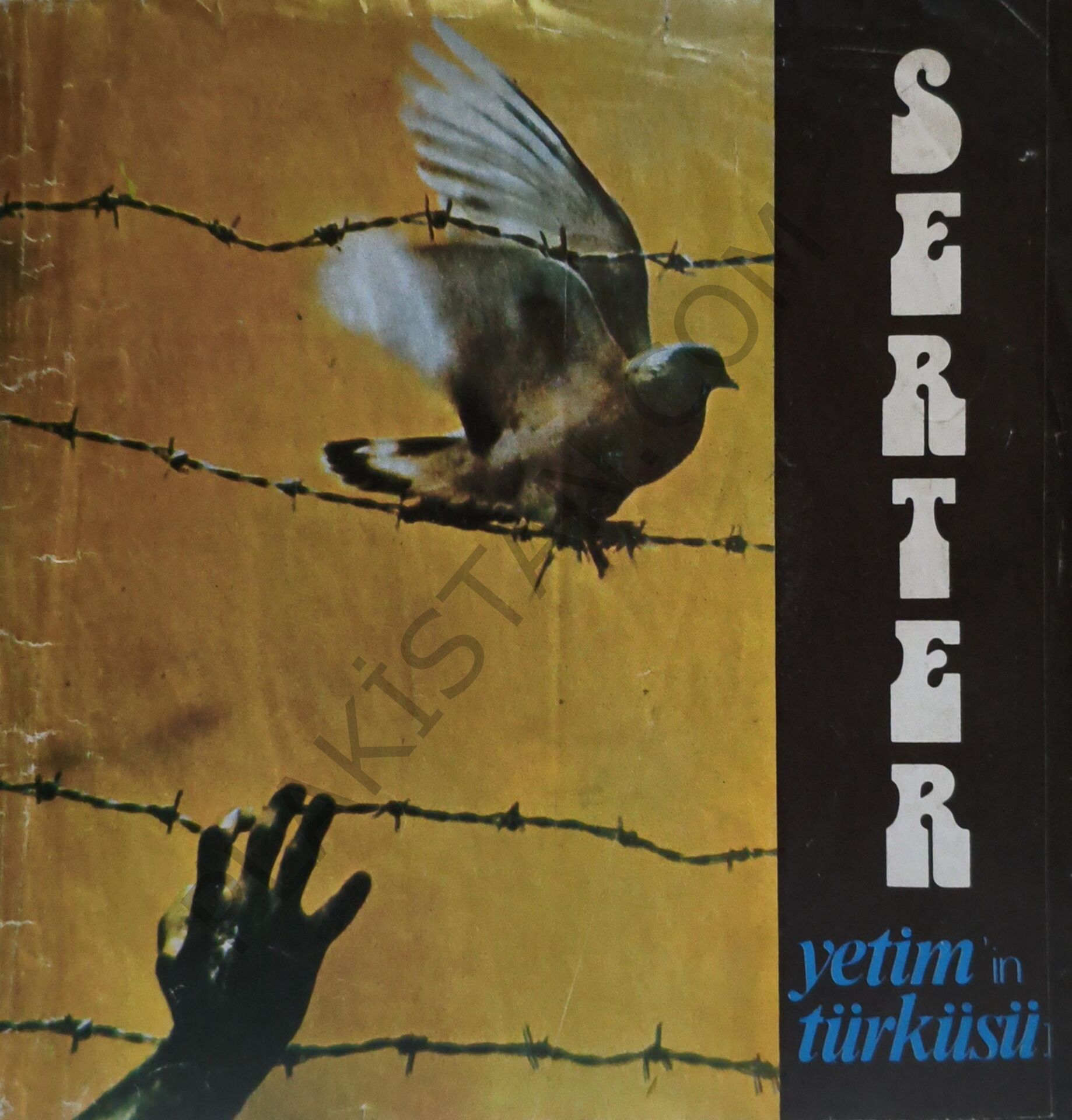 Serter & Yetimin Türküsü 45 LİK PLAK