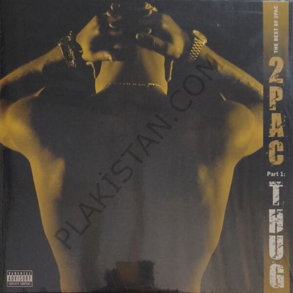 2Pac – The Best Of 2Pac - Part 1: Thug 2 LP PLAK