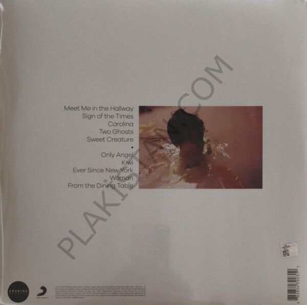 Harry Styles & Harry Styles Plak LP PLAK