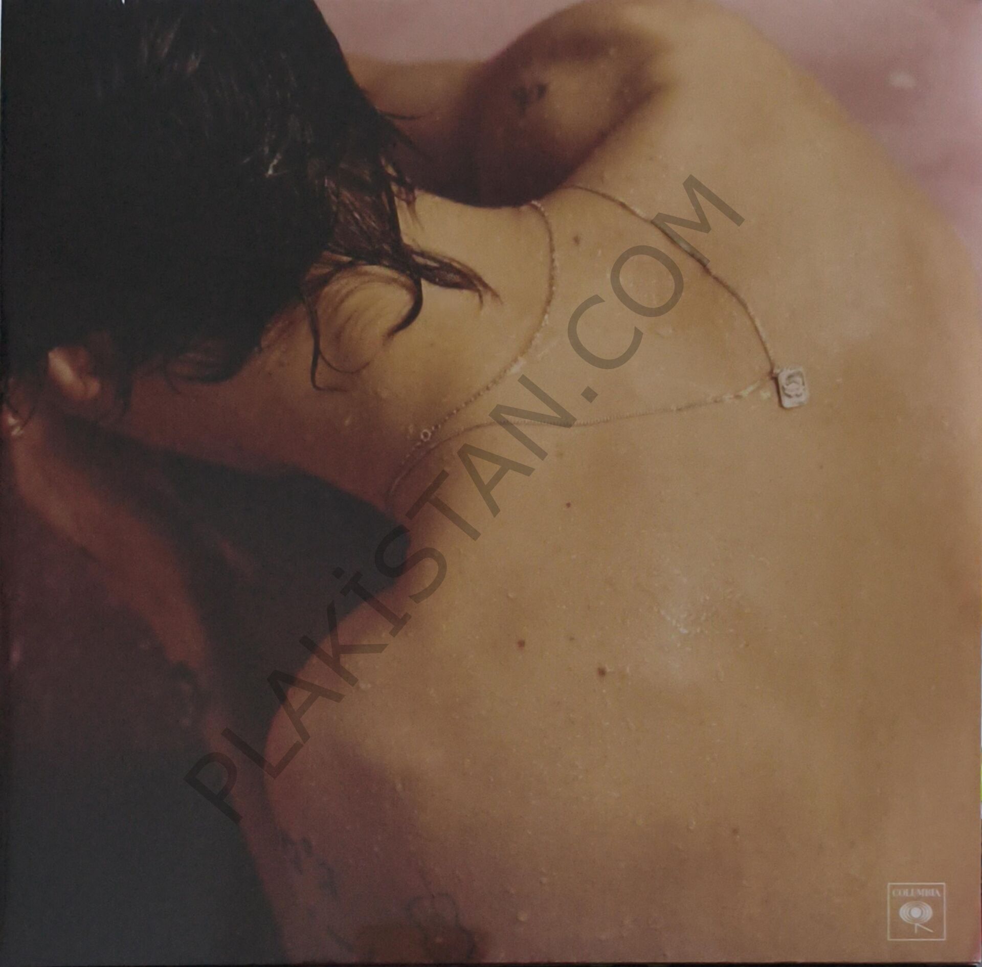 Harry Styles & Harry Styles Plak LP PLAK