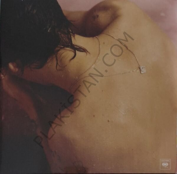 Harry Styles & Harry Styles Plak LP PLAK