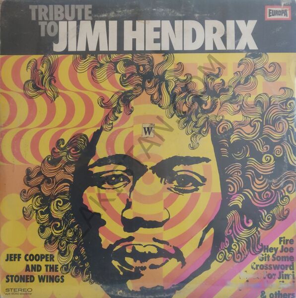 Jimi Hendrix Tribute To LP PLAK