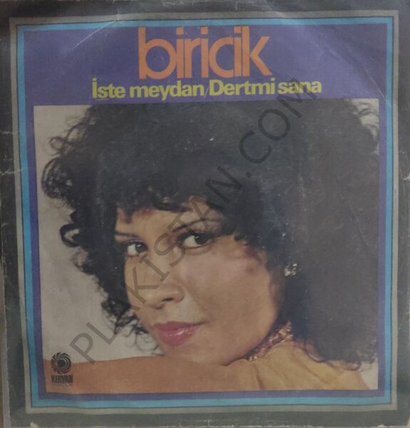 Biricik - İşte meydan 45 lik PLAK