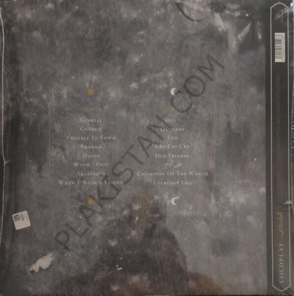 Everyday Life LP PLAK