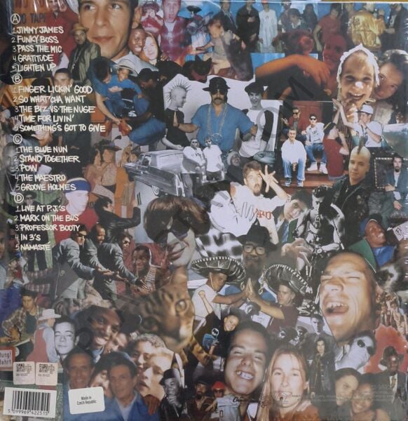 Beastie Boys & Check Your Head Beastie Boy 2 LP PLAK s Check Your Head