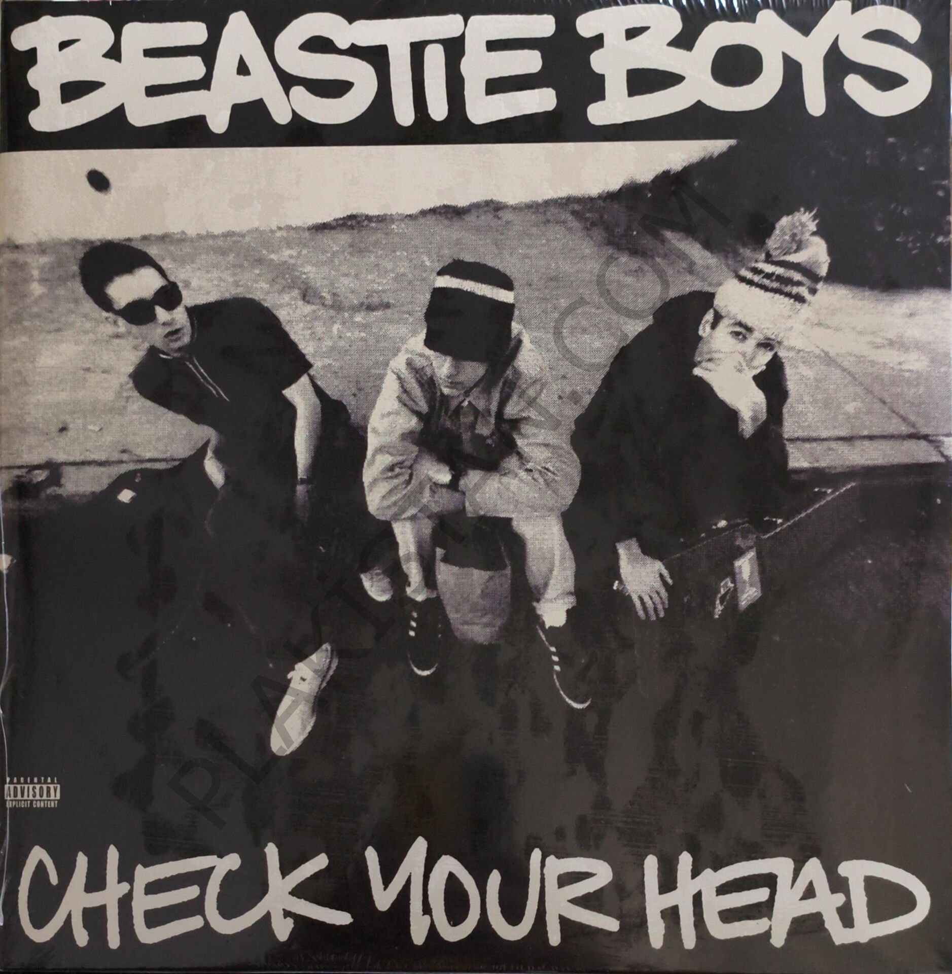 Beastie Boys & Check Your Head Beastie Boy 2 LP PLAK s Check Your Head