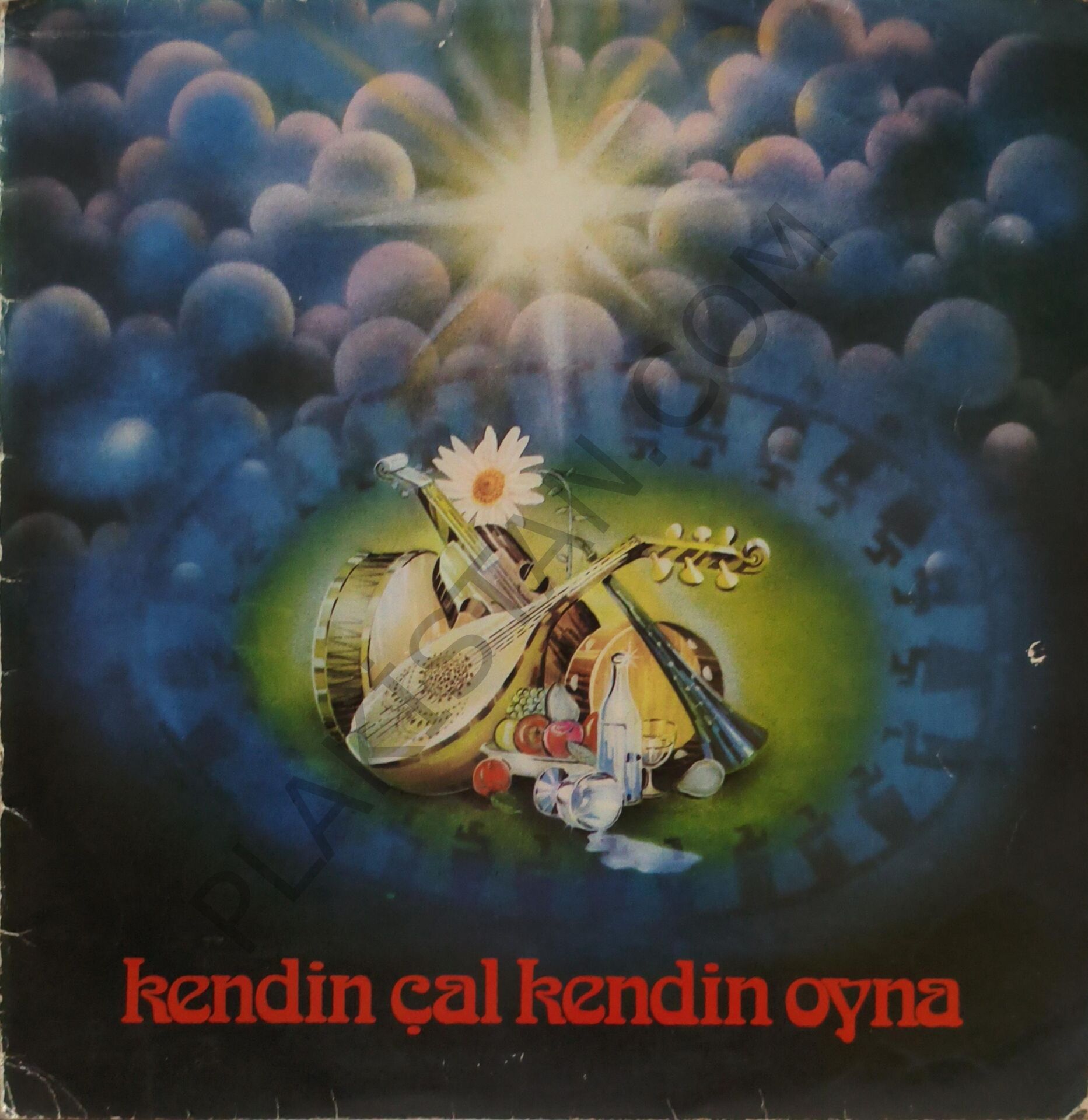 Ertuğrul Çayıroğlu Ve Avenesi &  Kendin Çal Kendin Oyna LP PLAK