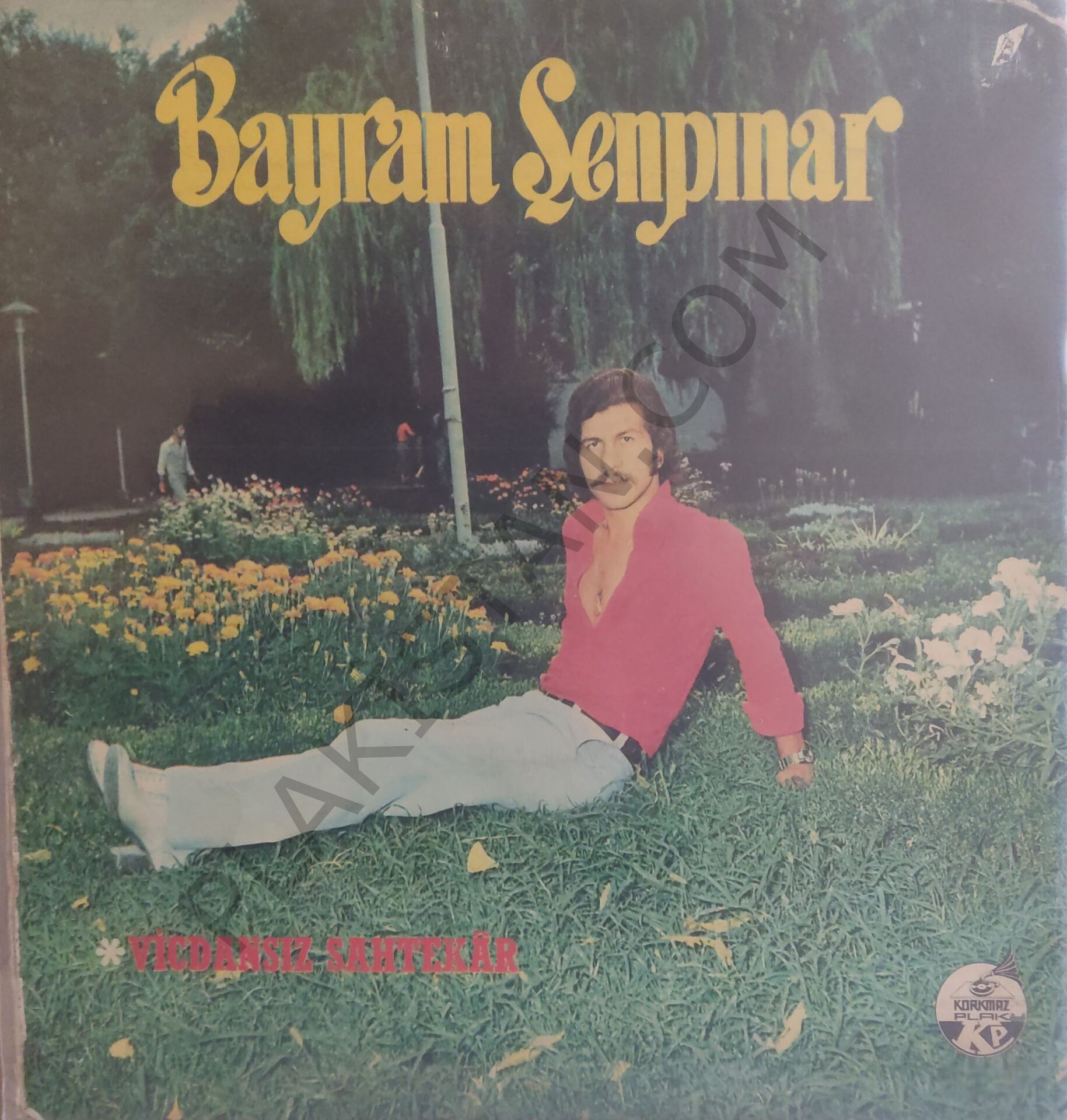 Bayram Şenpınar - Vicdansız Sahtekar - LP