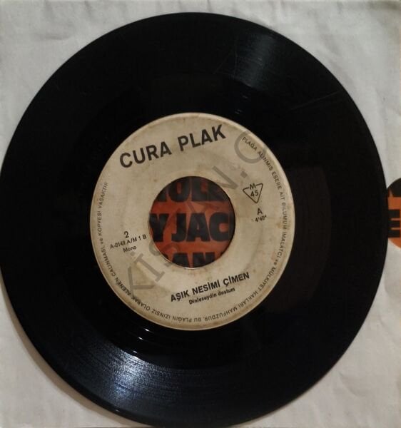 Aşık Nesimi Çimen & Dinleseydin dostum 45 LİK PLAK