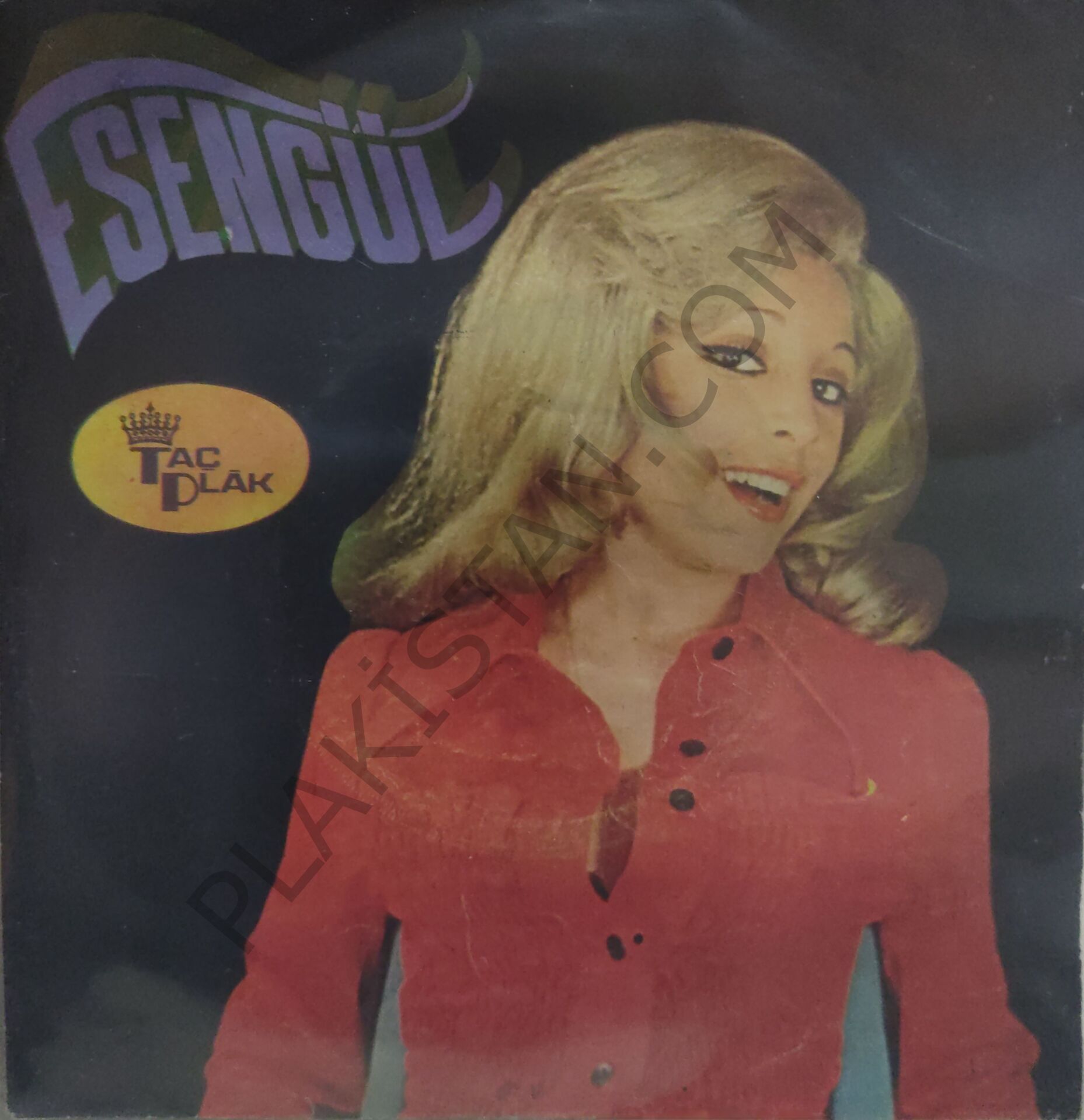 Esengül Senden Işık Bekledim 45 LİK PLAK