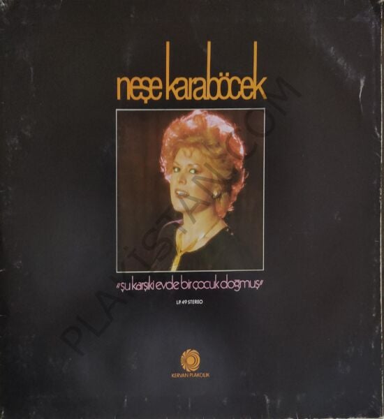 Neşe Karaböcek Şu Karşıki Evde Bir Çocuk Doğmuş LP PLAK