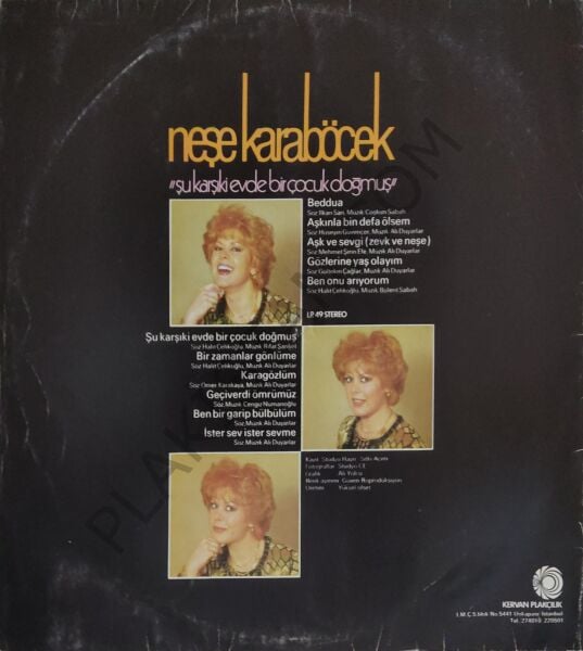 Neşe Karaböcek Şu Karşıki Evde Bir Çocuk Doğmuş LP PLAK