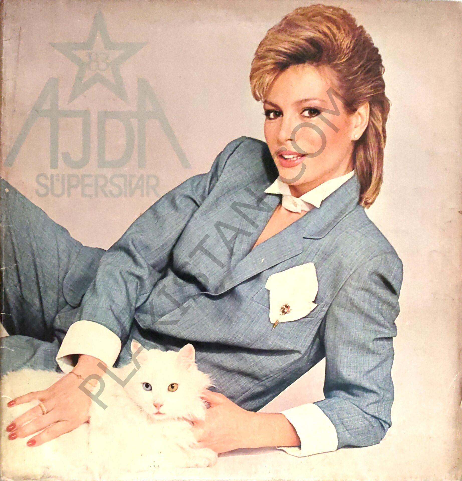 Ajda Pekkan Süperstar'83 LP PLAK