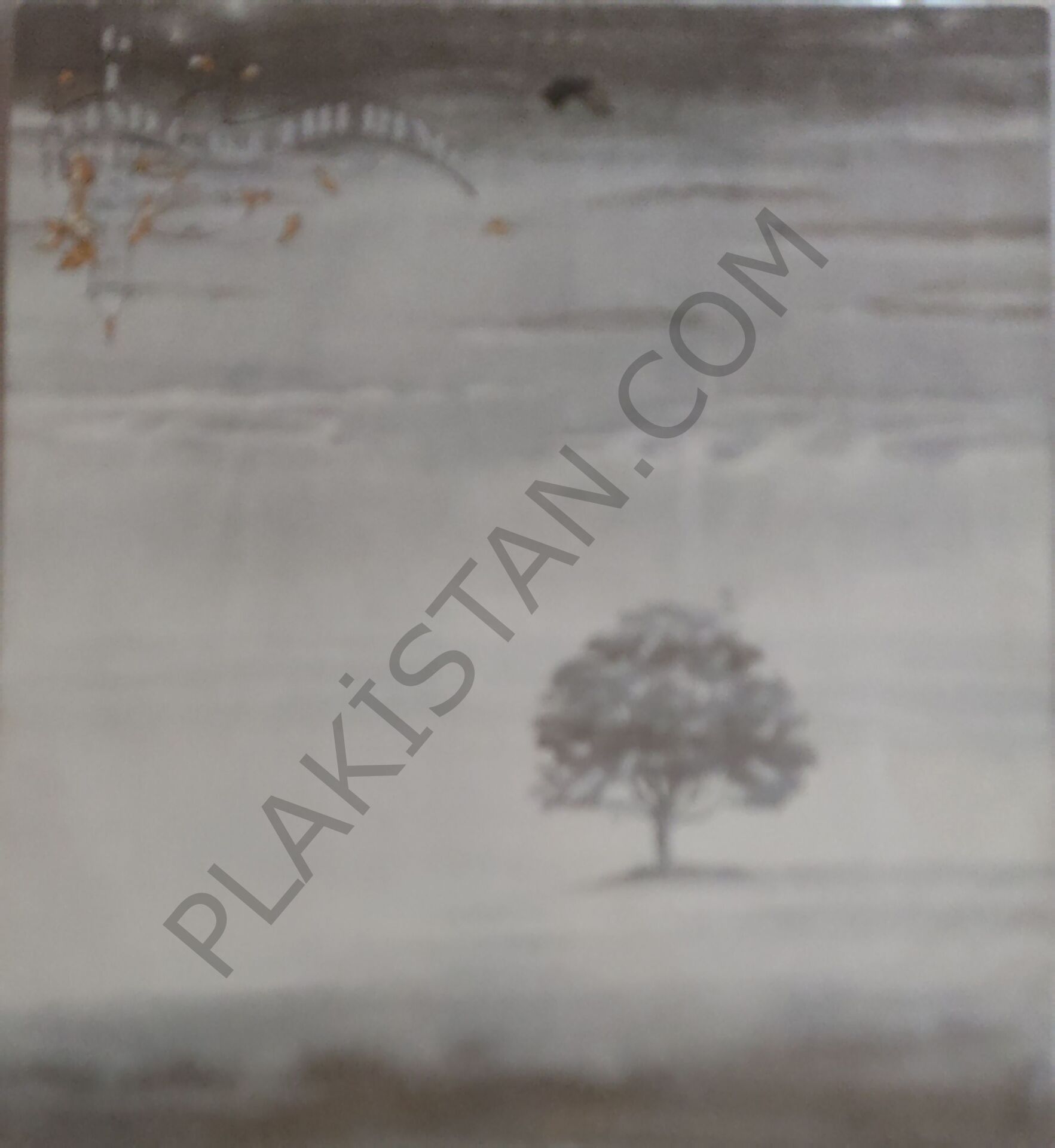 Genesis - Wind & Wuthering  LP PLAK