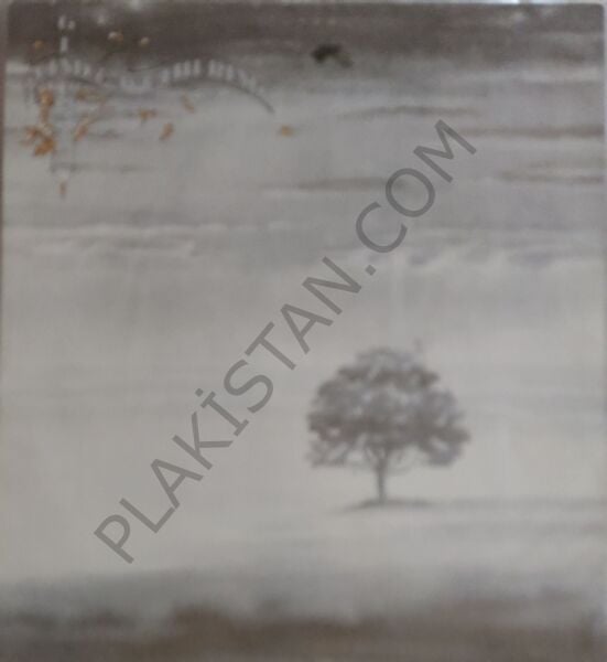 Genesis - Wind & Wuthering  LP PLAK