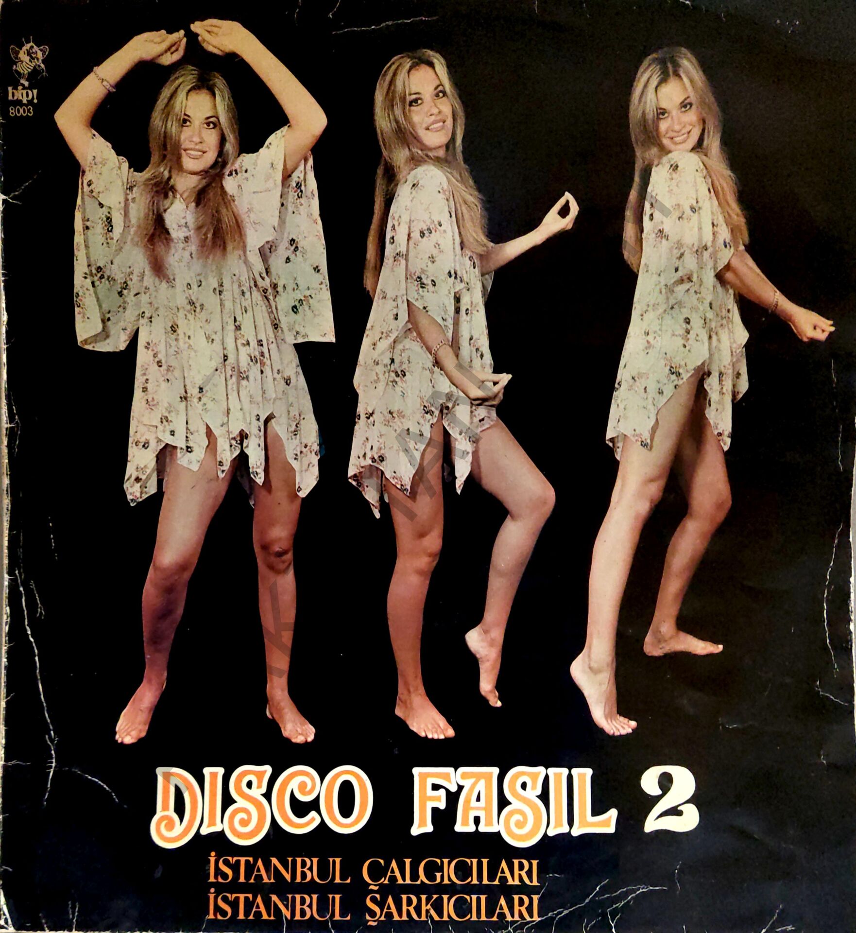 Disco Fasıl 2 LP PLAK
