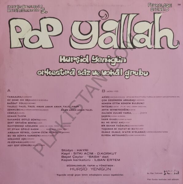 Hurşid Yenigün Orkestra Saz Ve Vokal Grubu Pop Y'allah LP PLAK