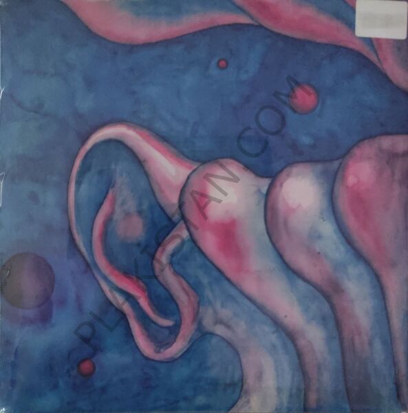 King Crimson - In The Court Of The Crimson King (An Observation By King Crimson)-LP