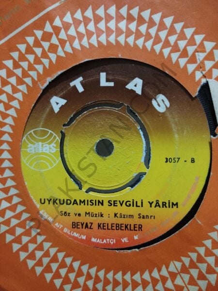 Beyaz Kelebekler Yazık Değil Mi Aşkımıza 45lik