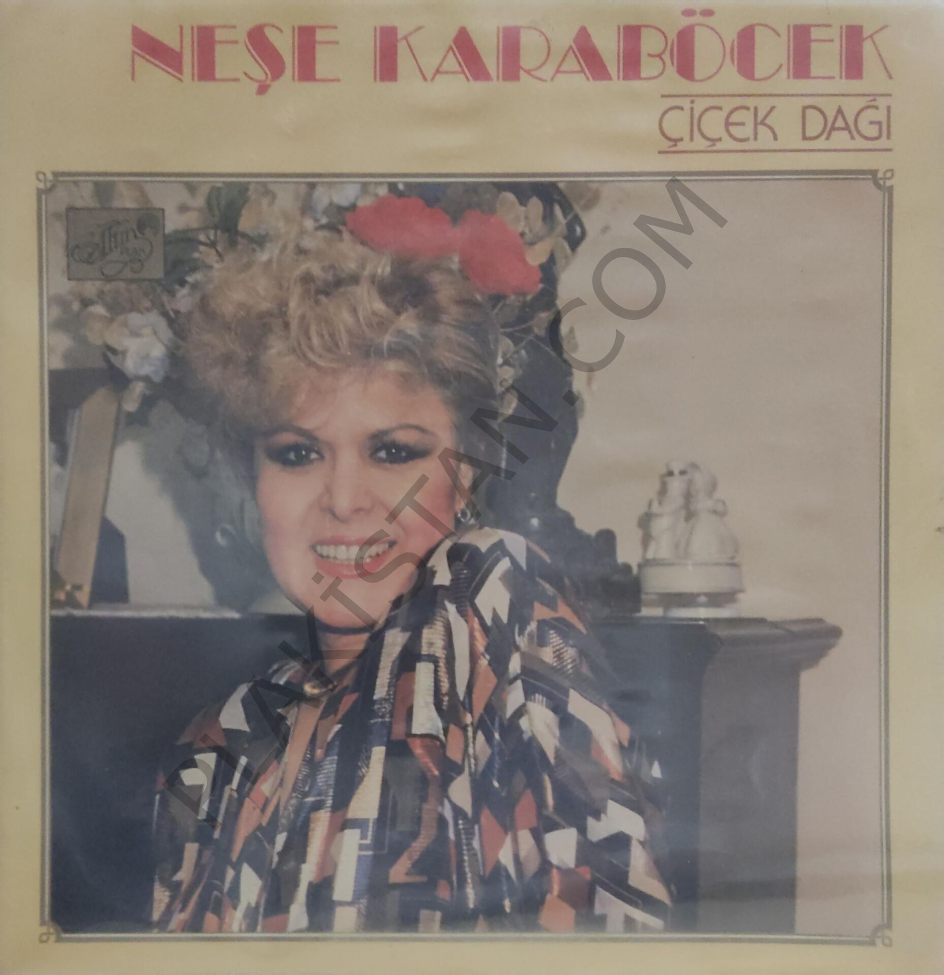 Neşe Karaböcek Çiçek Dağı LP