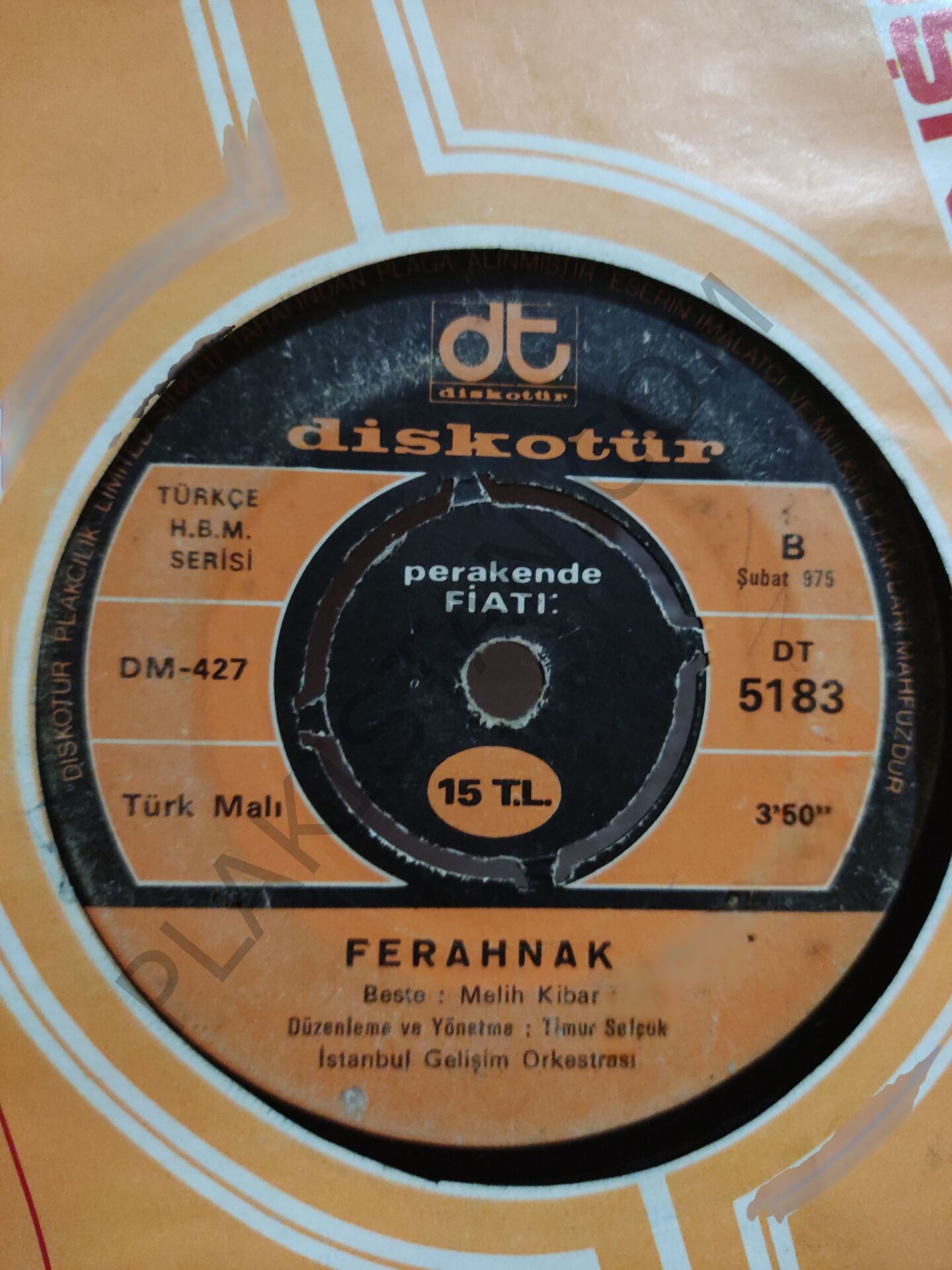 İstanbul Gelişim Orkestrası Ferahnak 45lik