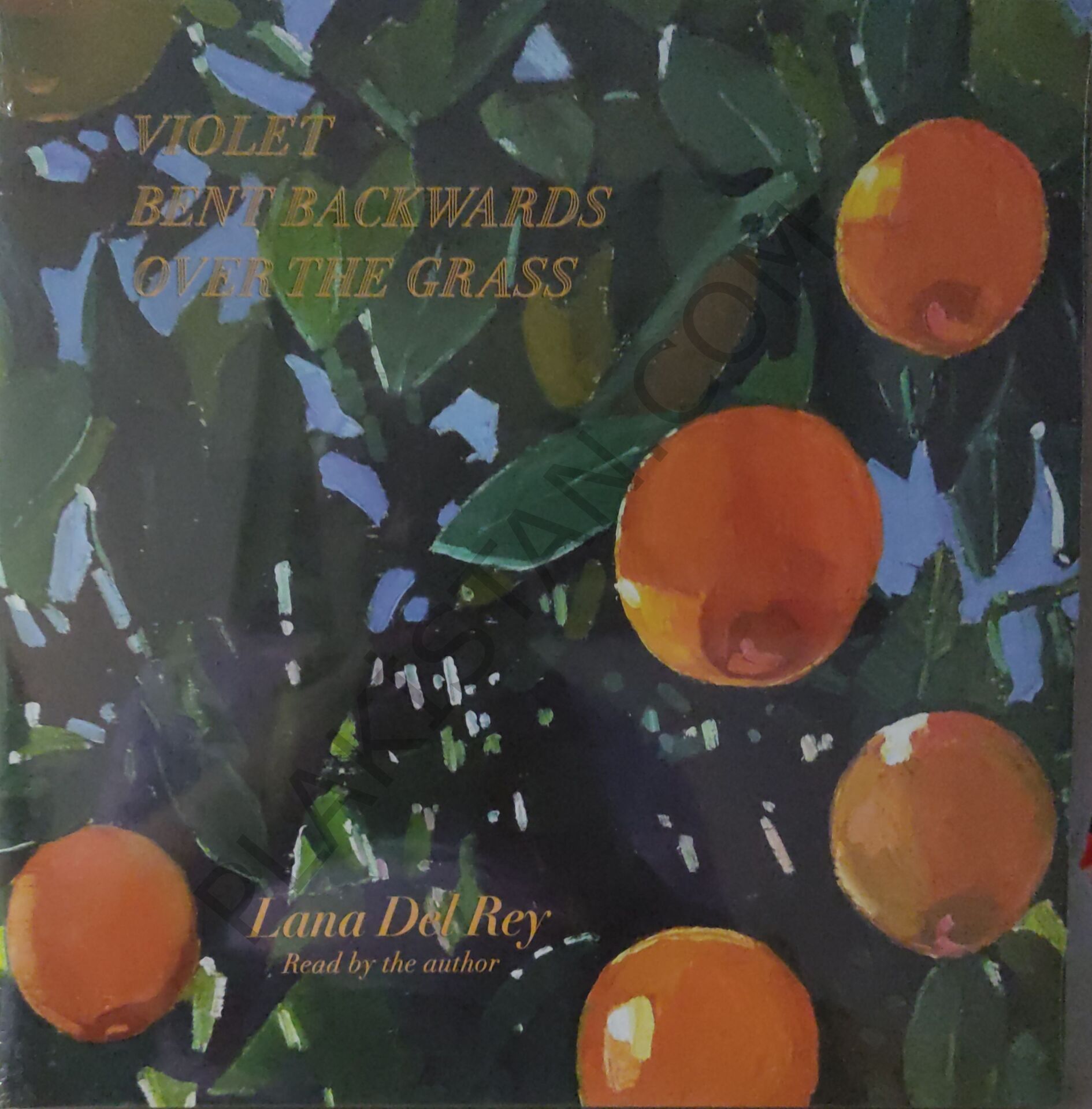 Lana Del Rey Violet bent backwards over the grass LP PLAK