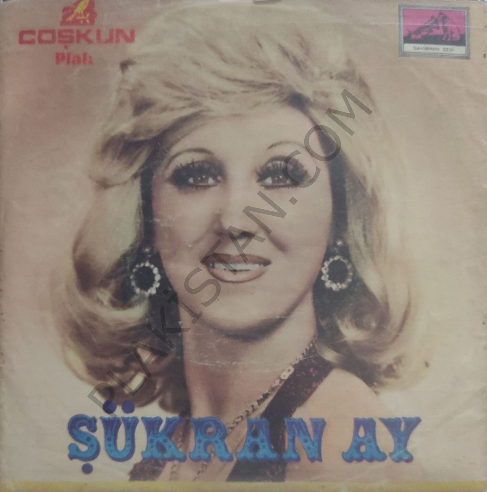Şükran Ay Ayıp sana 45lik