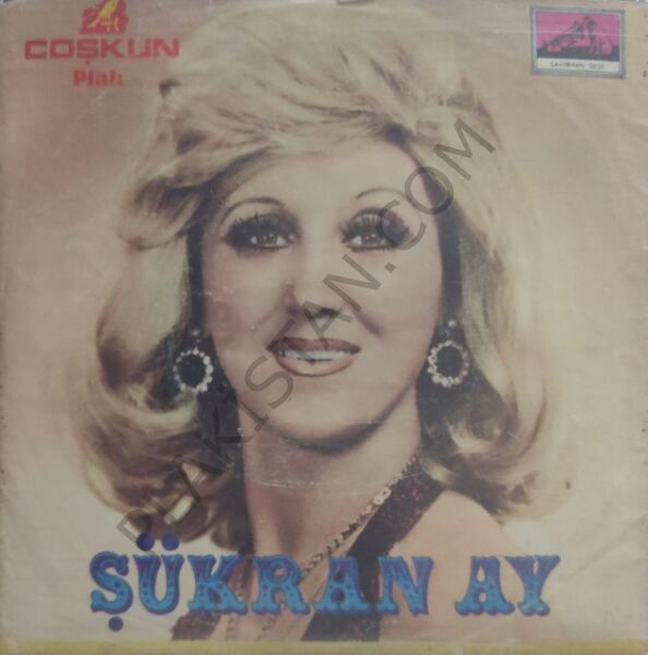 Şükran Ay Ayıp sana 45lik