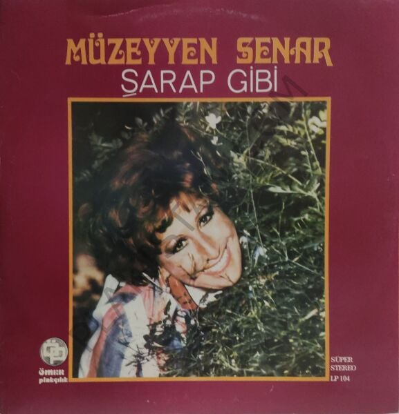 Müzeyyen Senar Şarap Gibi LP